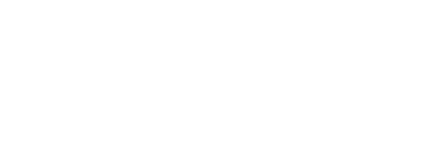 SWLogo SLS Conference